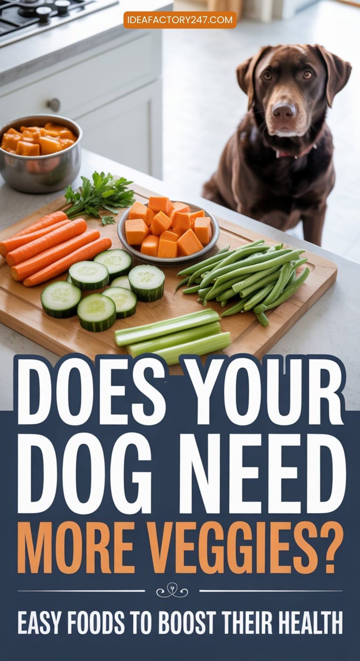 A dog sits by a kitchen counter with chopped carrots, cucumbers, green beans, and sweet potatoes. Text reads: Veggies for Dogs—does your pup need more? Easy foods to boost their health.