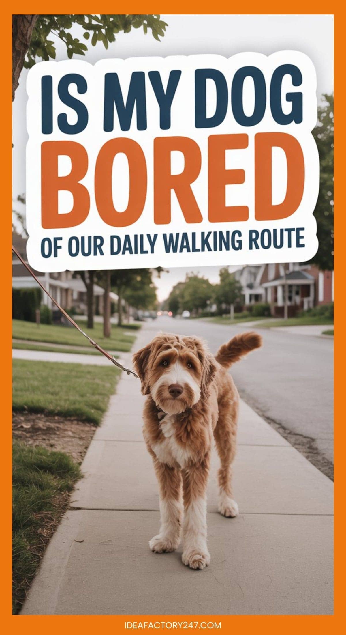 A fluffy brown and white dog stands on a suburban sidewalk with houses in the background. Above, large text asks, Is my dog bored of our daily walking route?.
