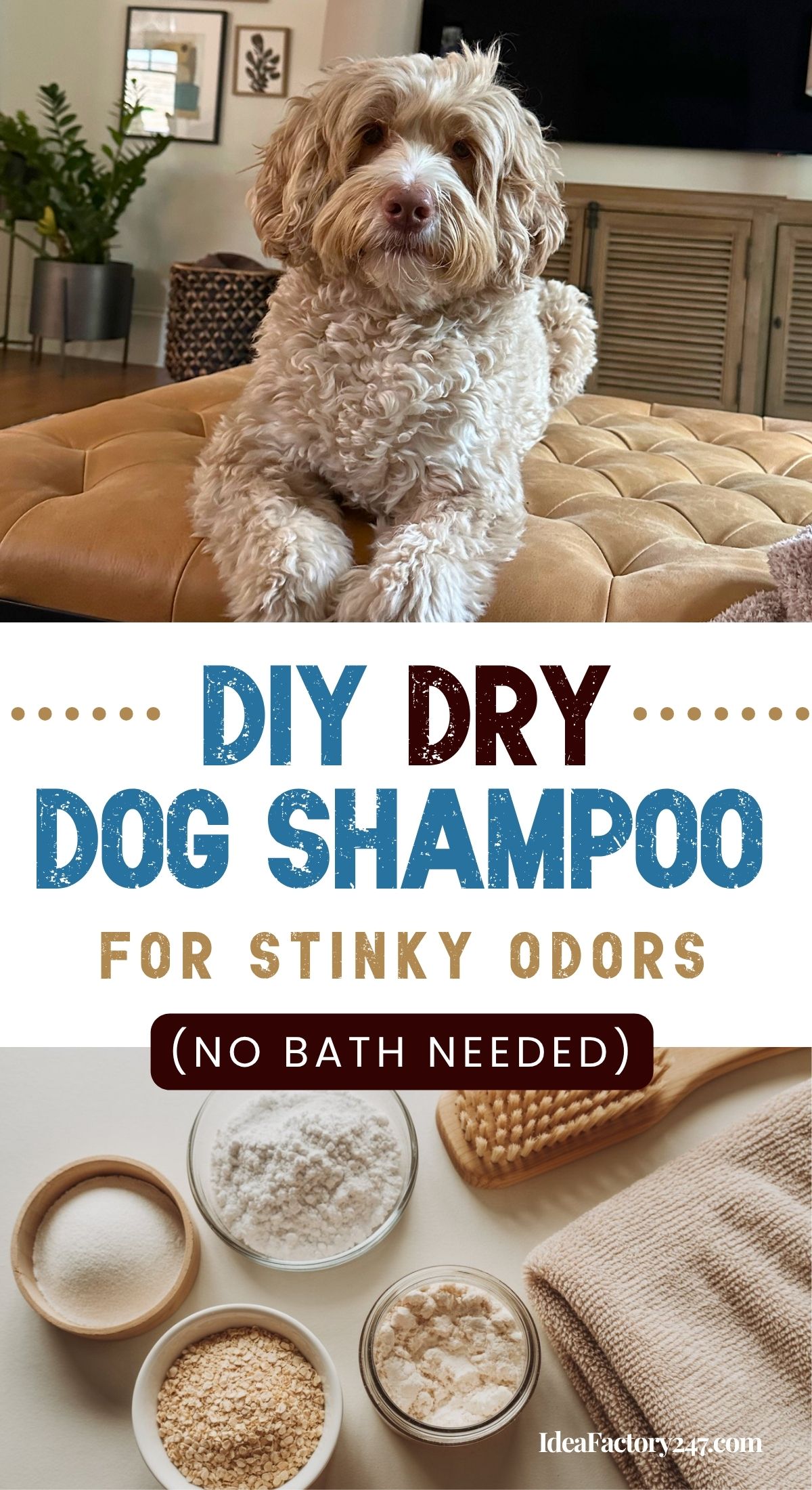 A fluffy dog sits on a tan ottoman. Below, text reads “DIY Dry Dog Shampoo for Stinky Odors (No Bath Needed)” above bowls of powder ingredients, a brush, and a towel on a wooden surface.