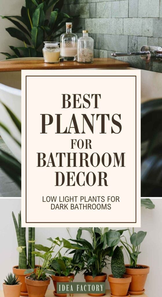Text overlay reading BEST PLANTS FOR BATHROOM DECOR, LOW LIGHT PLANTS FOR DARK BATHROOMS centered over images of bathroom shelves with jars and a collection of potted houseplants.